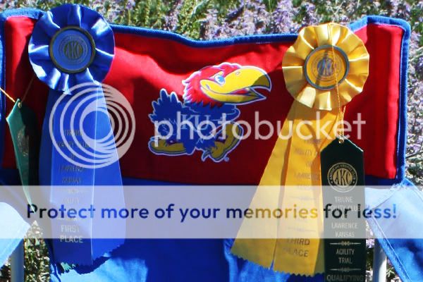 Eluane 1st Place Ribbon 2011 Labor Day